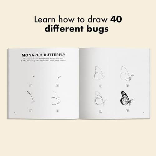 Bugs: How to Draw Books for Kids with Butterflies, Ladybugs, Spiders, and More (How to Draw For Kids Series) by Alli Koch