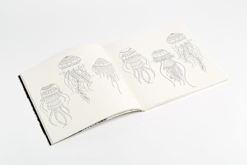 Lost Ocean: An Inky Adventure and Coloring Book for Adults by Johanna Basford