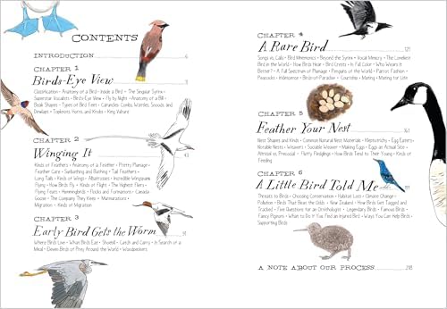 Bird Anatomy: The Curious Lives of the World's Feathered Creatures by Julia Rothman