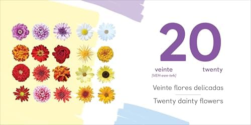 1, 2, 3, What Do You See? English-Spanish Bilingual by Rockridge Press
