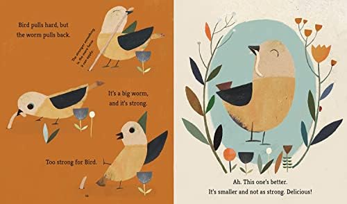 Bird Builds a Nest: A First Science Storybook by Martin Jenkins