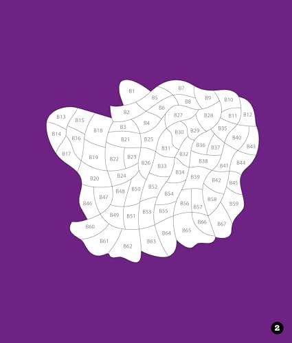 Brain Games - Sticker by Number: Neon Animals (28 Images to Sticker) by Publications International Ltd.