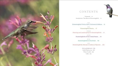 The Hummingbird Handbook: Everything You Need to Know about These Fascinating Birds by John Shewey