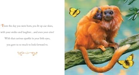 Why We Need Grandsons: Celebrate Your Special Grandson Grandparent Bond with This Heartwarming Picture Book! (Always in My Heart) by Gregory E. Lang