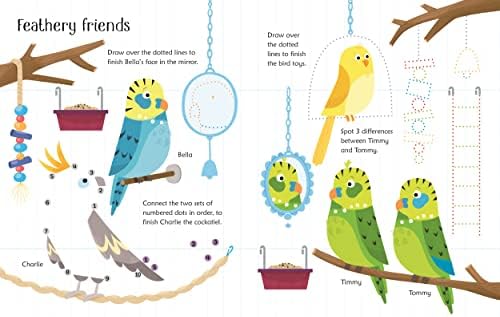 Wipe-Clean Pet Activities: A Fun Interactive Book for Kids (Ages 3-5) About Mazes, Tracing, and Developing Writing Skills by Kirsteen Robson