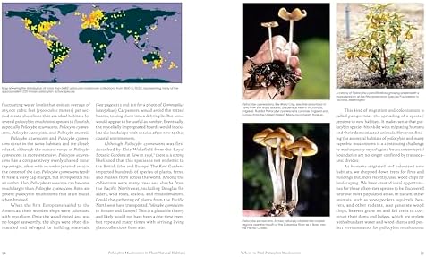 Psilocybin Mushrooms in Their Natural Habitats: A Guide to the History, Identification, and Use of Psychoactive Fungi by Paul Stamets
