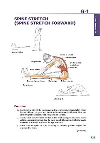Pilates Anatomy by Rael Isacowitz