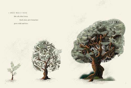 If the Tree Could Speak: The Story of the Cross That Saw It All by Tim Tebow
