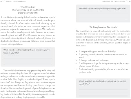 Desire: The Workbook: A Guided Journey into the Longings That Shape Our Lives by Jay Stringer