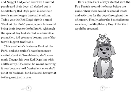 Leila & Nugget Mystery: Bark at the Park (Volume 3) (Leila and Nugget Mysteries) by Dustin Brady