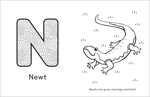 A Is for Animals!: Preschool Coloring Book by Rachael Smith