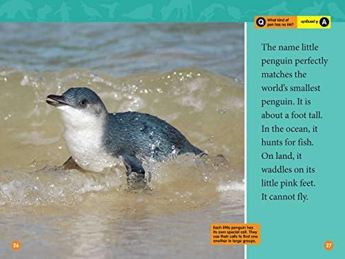 Adorable Animals (National Geographic Kids Readers, Level 2) by Mary Quattlebaum