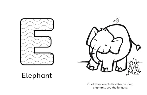 A Is for Animals!: Preschool Coloring Book by Rachael Smith