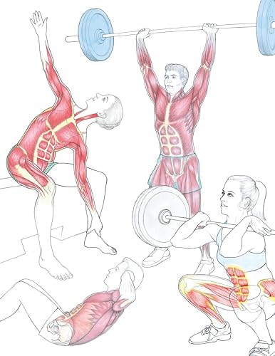 New Anatomy for Strength & Fitness Training: An Illustrated Guide to Your Muscles in Action Including Exercises Used in CrossFit (R), P90X (R), and Other Popular Fitness Programs (IMM Lifestyle Books) by Mark Vella