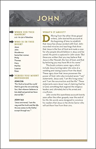 NIV, Bible for Teen Guys, Hardcover: Building Faith, Wisdom and Strength by Zondervan