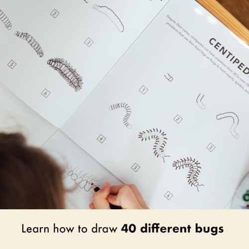 Bugs: How to Draw Books for Kids with Butterflies, Ladybugs, Spiders, and More (How to Draw For Kids Series) by Alli Koch
