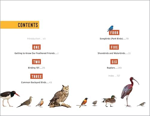 North American Bird Watching for Beginners: Field Notes on 150 Species to Start Your Birding Adventures (Bird Watching Adventures) by Sharon Stiteler