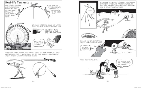 The Cartoon Guide to Geometry: An Illustrated and Comprehensive Mathematical Primer on Geometry by Larry Gonick
