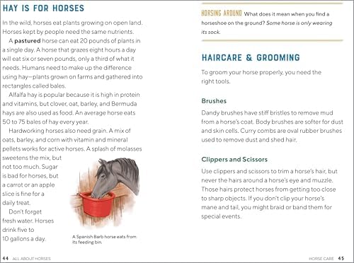 All About Horses: A Kid's Guide to Breeds, Care, Riding, and More! by Kelly Milner Halls