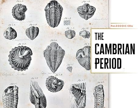 Epic Earth: A Wild Ride through the History of Life on Our Planet by Lindsay Nikole