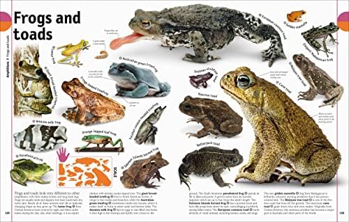 The Animal Book: A Visual Encyclopedia of Life on Earth (DK Our World in Pictures) by David Burnie