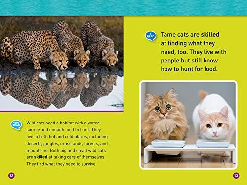 Cats (National Geographic Kids Readers, Level 1/Co-Reader) by Joan Marie Galat