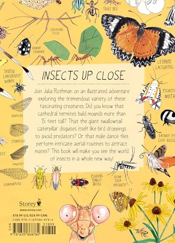 Insect Anatomy: The Curious World of Bees, Beetles, Butterflies, and Bugs by Julia Rothman