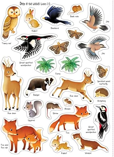 First Sticker Book Nature: An Engaging Activity Book About Animals, Plants, and Bugs for Kids (Ages 3-5) by Felicity Brooks