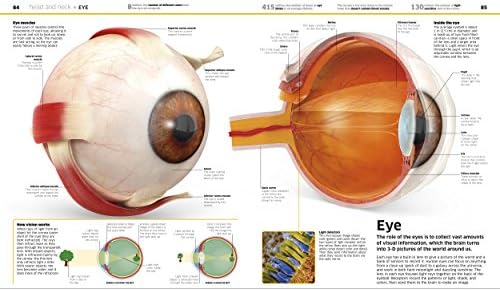 Knowledge Encyclopedia Human Body! by DK