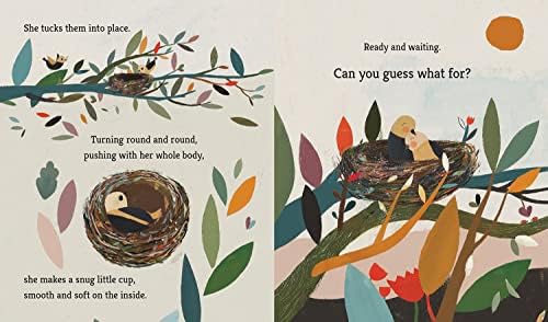 Bird Builds a Nest: A First Science Storybook by Martin Jenkins
