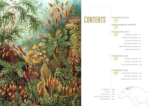 Epic Earth: A Wild Ride through the History of Life on Our Planet by Lindsay Nikole
