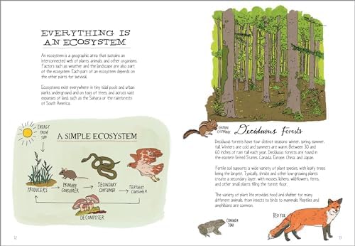 Wildlife Anatomy: The Curious Lives & Features of Wild Animals around the World by Julia Rothman