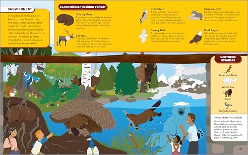 Search the Zoo, Find the Animals by Bethanie Hestermann