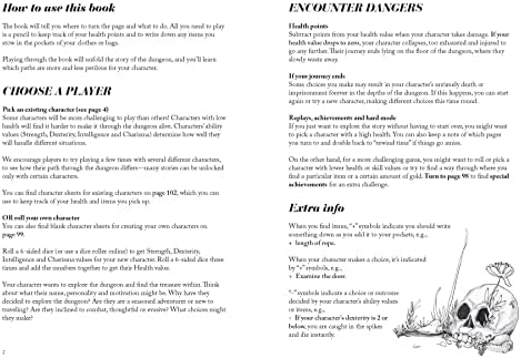 Into the Dungeon: A Choose-Your-Own-Path Book by Hari Conner