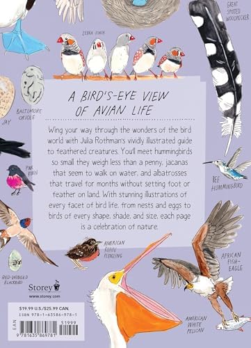 Bird Anatomy: The Curious Lives of the World's Feathered Creatures by Julia Rothman