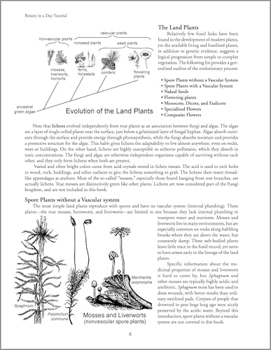 Botany in a Day: The Patterns Method of Plant Identification by Thomas J. Elpel