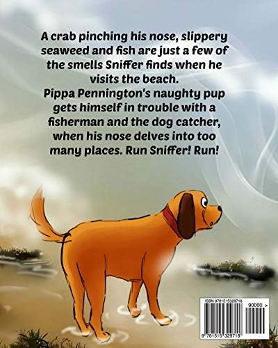 Sniffer at the Beach: Children´s picture book (Sniffer Children's Books Age 3-6) by Pippa Pennington