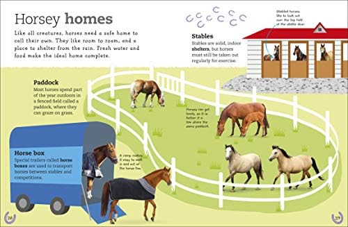 The Everything Book of Horses and Ponies (Everything About Pets) by DK