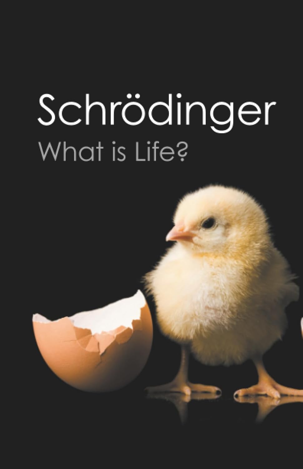 What is Life? (Canto Classics): With Mind and Matter and Autobiographical Sketches by Erwin Schrodinger