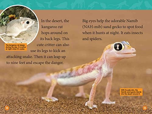 Adorable Animals (National Geographic Kids Readers, Level 2) by Mary Quattlebaum