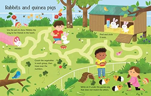 Wipe-Clean Pet Activities: A Fun Interactive Book for Kids (Ages 3-5) About Mazes, Tracing, and Developing Writing Skills by Kirsteen Robson