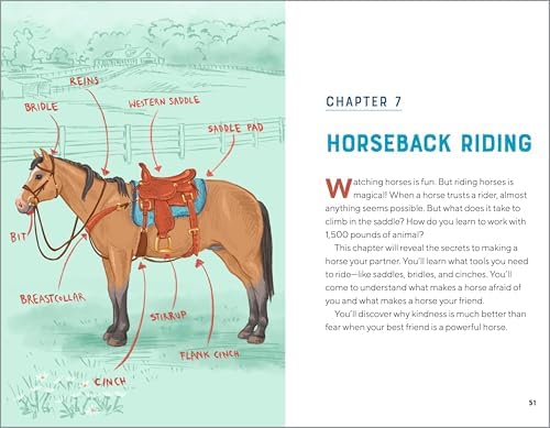 All About Horses: A Kid's Guide to Breeds, Care, Riding, and More! by Kelly Milner Halls