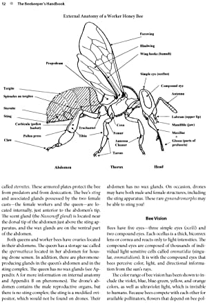 The Beekeeper's Handbook by Diana Sammataro