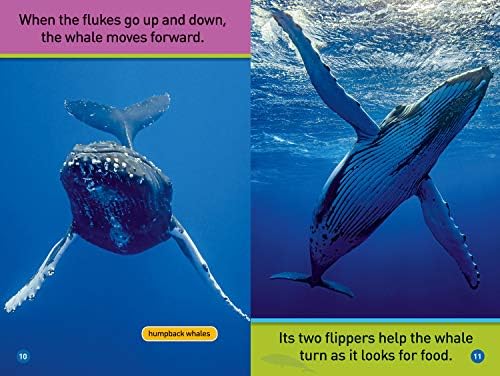 Whales (National Geographic Kids Readers, Pre-Reader) by Jennifer Szymanski