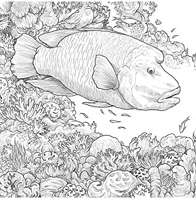 Fragile World by Kerby Rosanes
