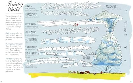 Farm Anatomy: The Curious Parts and Pieces of Country Life by Julia Rothman