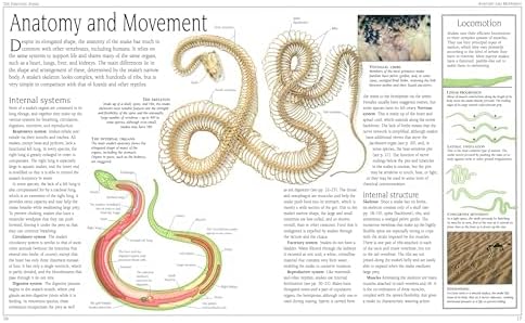 Snake: The Essential Visual Guide by Chris Mattison