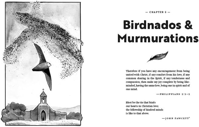 Considering Sparrows: What Birds Teach Us About Who We Are, Where We're Going, and the Joy of Following Jesus by Kevin Burrell