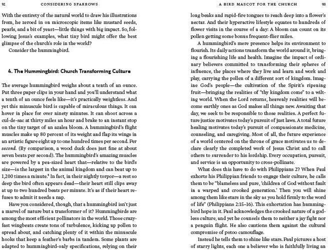Considering Sparrows: What Birds Teach Us About Who We Are, Where We're Going, and the Joy of Following Jesus by Kevin Burrell