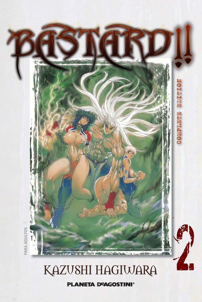 Bastard! Complete Edition nº 02 by Kazushi Hagiwara